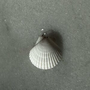 Elegant White Calico Scallop Shell Pendant